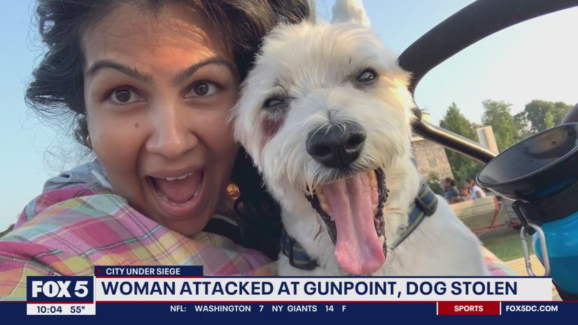 'I just want him home': DC woman pleading for safe of dog stolen in violent attack